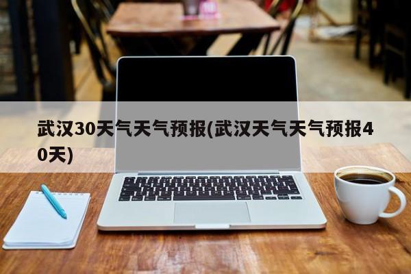 武汉30天气天气预报(武汉天气天气预报40天)